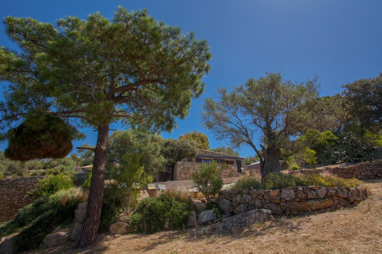 Villa Bodri, Maison En Pierre Avec Vue Mer Et Piscine Chauffee L'Ile-Rousse  Bagian luar foto