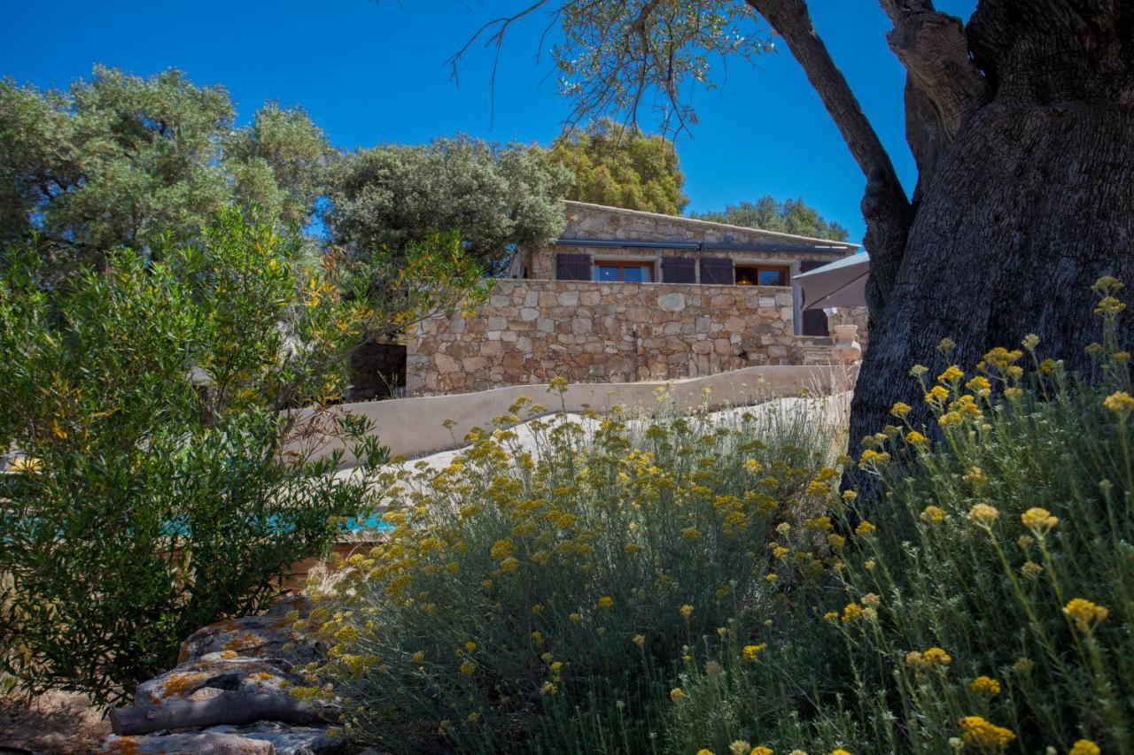 Villa Bodri, Maison En Pierre Avec Vue Mer Et Piscine Chauffee L'Ile-Rousse  Bagian luar foto