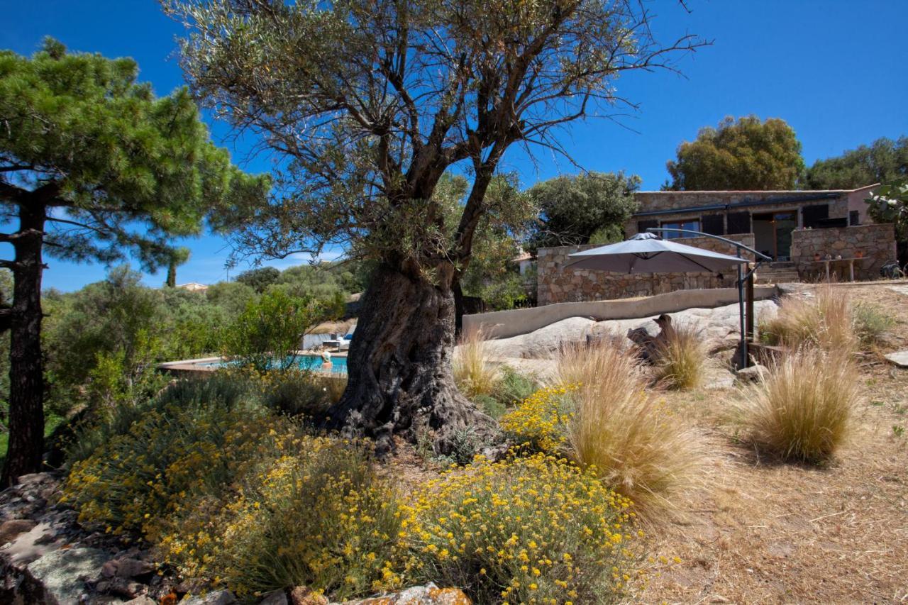 Villa Bodri, Maison En Pierre Avec Vue Mer Et Piscine Chauffee L'Ile-Rousse  Bagian luar foto